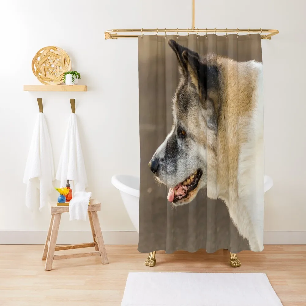 Golden Akita Shower Curtain Waterproof Bathroom Shower Modern Accessory Bathrooms Shower Bath Bathroom Box Curtain 
Golden Akita Shower Curtain Waterproof Bathroom Shower Modern Accessory Bathrooms Shower Bath Bathroom Box Curtain