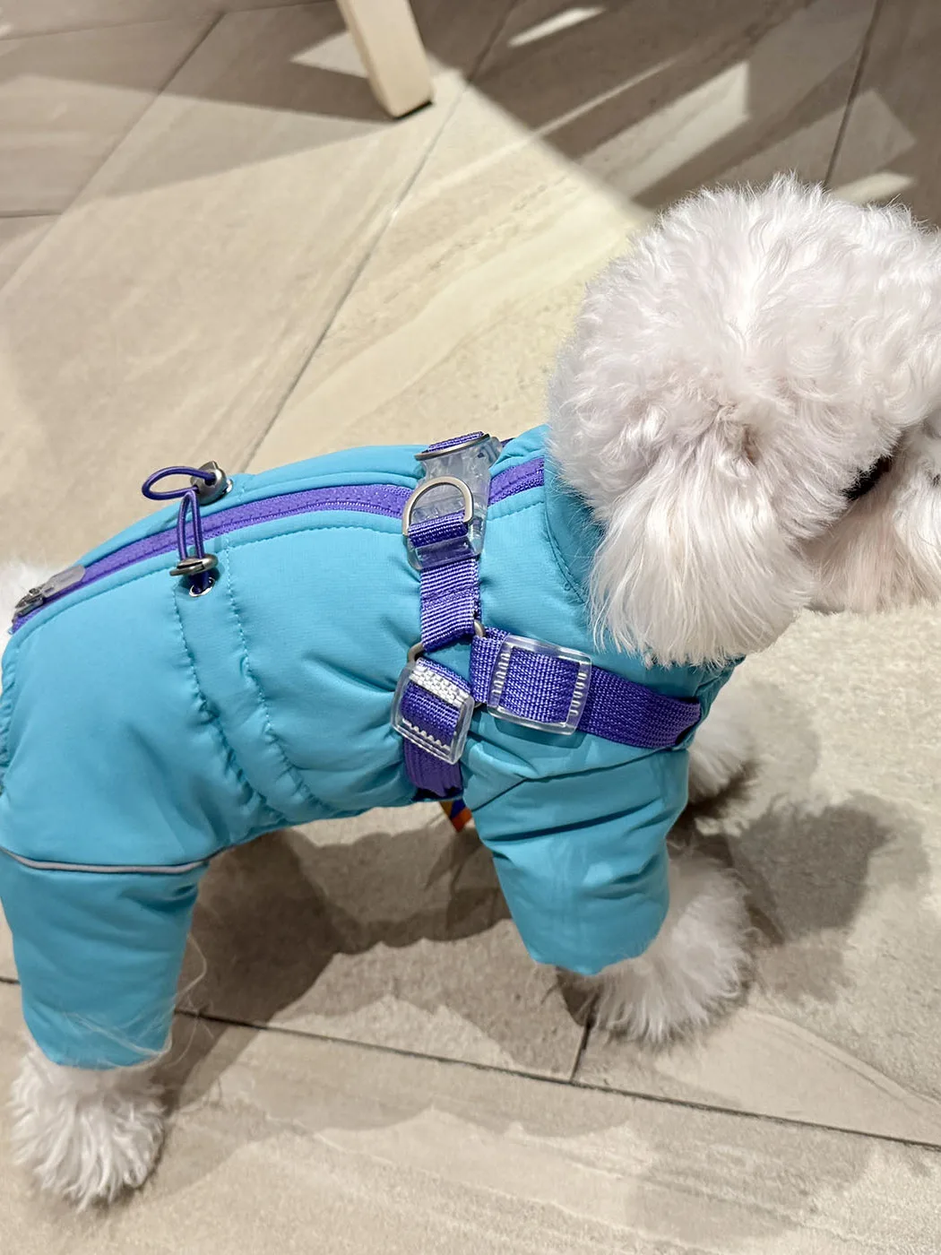 Теплая хлопковая зимняя одежда для собак: комбинезон на четыре лапы для собак породы Тедди, Бишон, Шнауцер (маленькие породы), с шлейкой
Теплая хлопковая зимняя одежда для собак: комбинезон на четыре лапы для собак породы Тедди, Бишон, Шнауцер (маленькие породы), с шлейкой