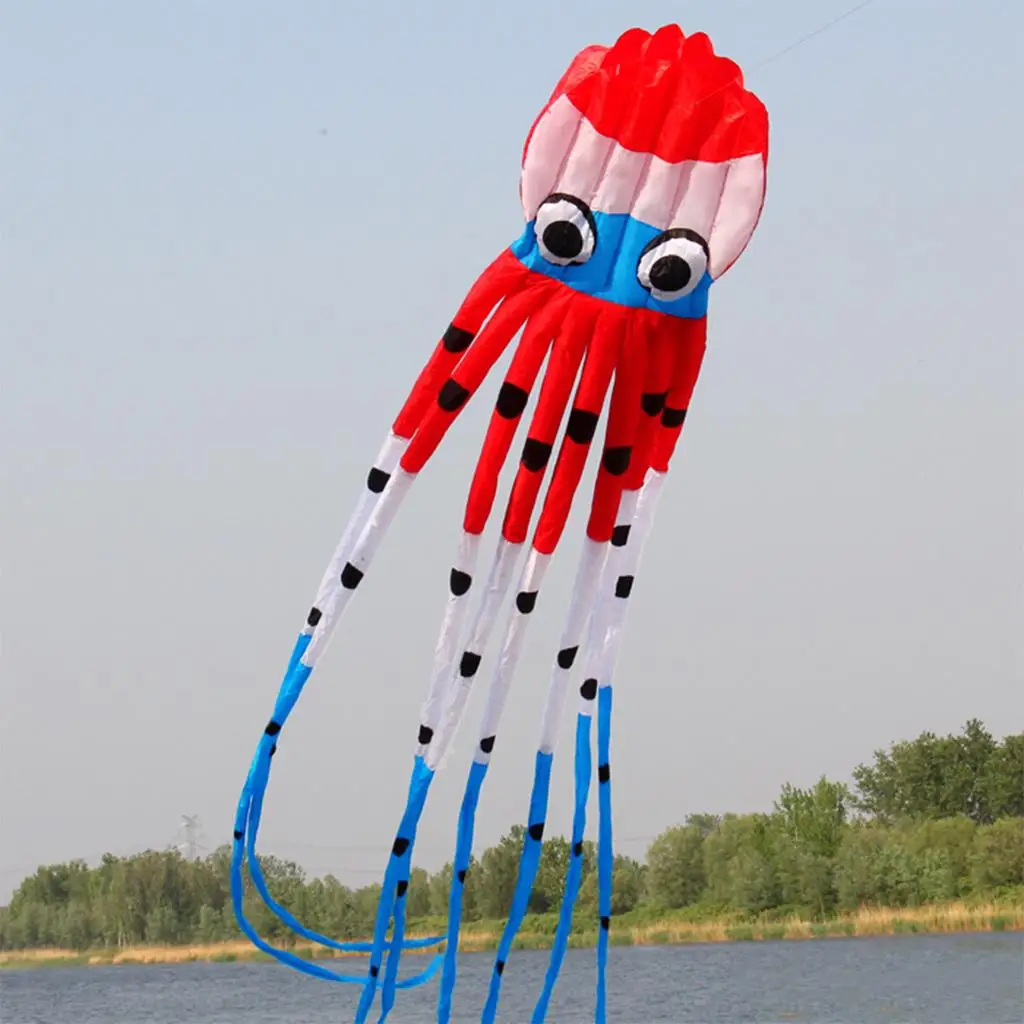 Beautiful Large Kite for Soft 3 Inches Wide with Long Tail 315 Inches
Beautiful Large Kite for Soft 3 Inches Wide with Long Tail 315 Inches