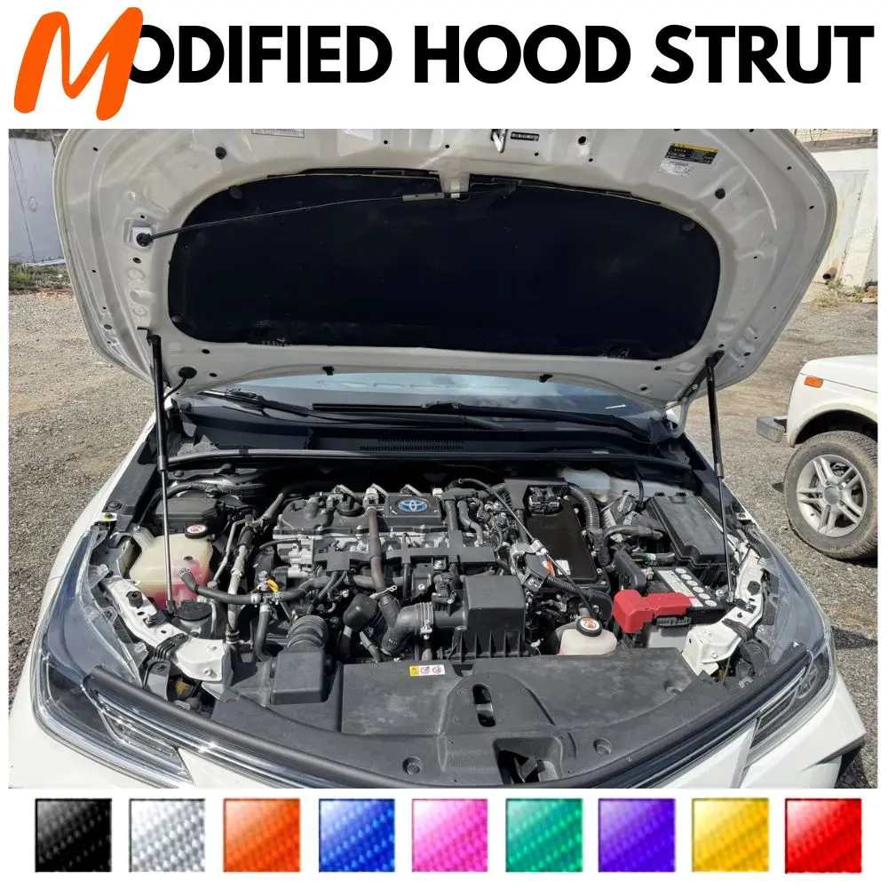 Front Hood Struts for Toyota Corolla E210 hatchback 2018-Present Shock Lift Supports Bonnet Gas Dampers Springs No-Drill
Front Hood Struts for Toyota Corolla E210 hatchback 2018-Present Shock Lift Supports Bonnet Gas Dampers Springs No-Drill