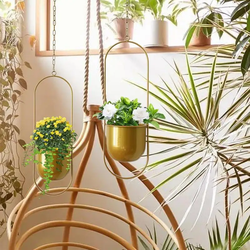 Ceiling Plant Pot Hydroponic Plant Pot Hangable Metal Chlorophytum Succulent Planter Decorative Ornament For Home Balcony
Ceiling Plant Pot Hydroponic Plant Pot Hangable Metal Chlorophytum Succulent Planter Decorative Ornament For Home Balcony