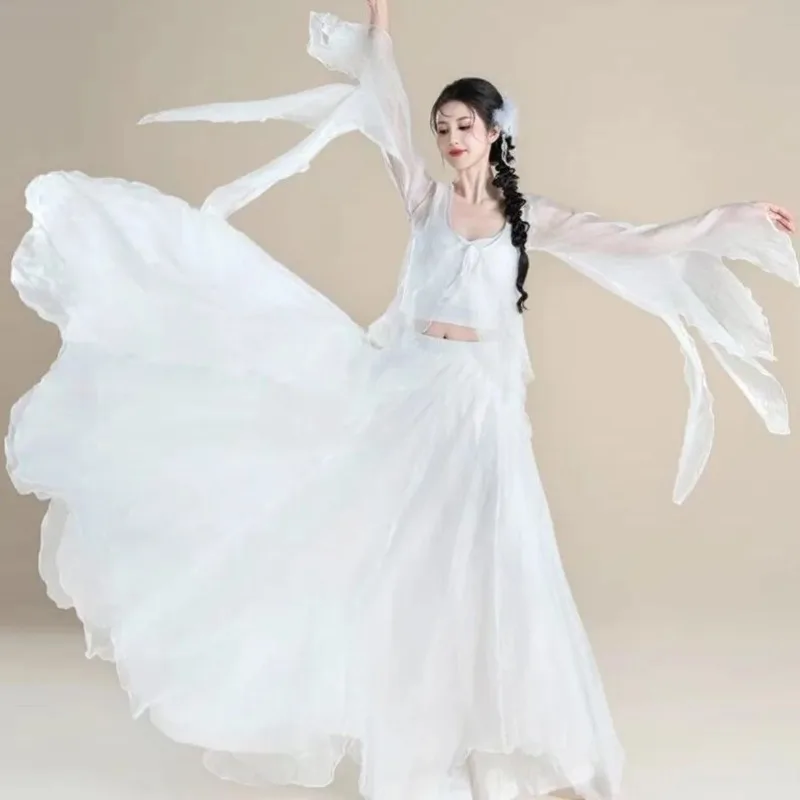 Flared Sleeve Sheer Dance Set - Wide-Leg Skirt Pants for Body Training, Chinese Classical Performance Costume
Flared Sleeve Sheer Dance Set - Wide-Leg Skirt Pants for Body Training, Chinese Classical Performance Costume