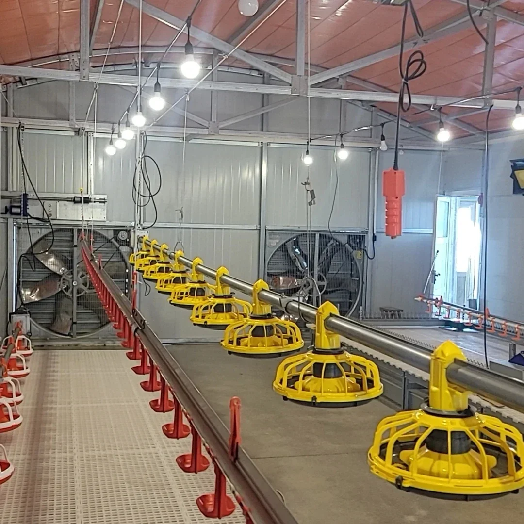 Пол свободного диапазона Управление подъемом для курицы, бройлеров, кормушка для птицы, фермы, полностью автоматическая линия системы подачи
Пол свободного диапазона Управление подъемом для курицы, бройлеров, кормушка для птицы, фермы, полностью автоматическая линия системы подачи