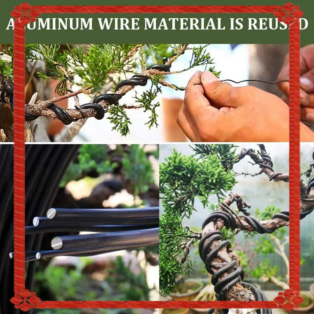 24-Hour Delivery Bonsai Wire Kit- 9 Roll Anodized Aluminum Tree Training Wires In 3 Size For Shaping Styling Indoor Bonsai Trees
24-Hour Delivery Bonsai Wire Kit- 9 Roll Anodized Aluminum Tree Training Wires In 3 Size For Shaping Styling Indoor Bonsai Trees