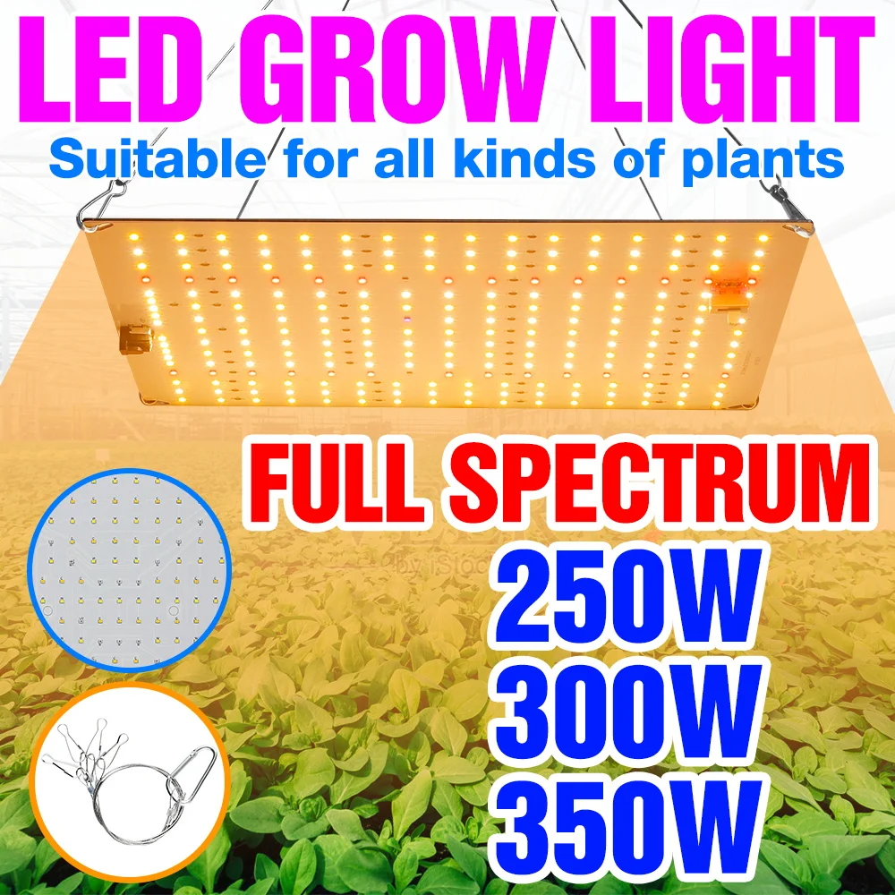 350W LED Grow Light 100-277V Full Spectrum Planting Panel Lamp Greenhouse Tent Succulent Cactus Flowers Fill Lighting EU/US Plug
350W LED Grow Light 100-277V Full Spectrum Planting Panel Lamp Greenhouse Tent Succulent Cactus Flowers Fill Lighting EU/US Plug