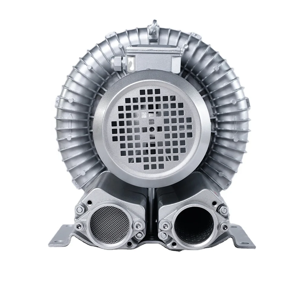 High Quality Three Phase Single Stage Ring Air Blower for Packaging Machinery
High Quality Three Phase Single Stage Ring Air Blower for Packaging Machinery