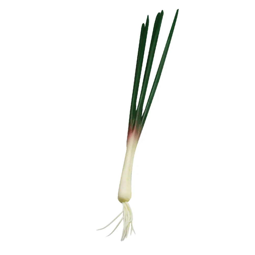 Simulated Onion Model Vegetable Models Artificial Green Onions Ornament Fake Pu Showcase Display Props
Simulated Onion Model Vegetable Models Artificial Green Onions Ornament Fake Pu Showcase Display Props