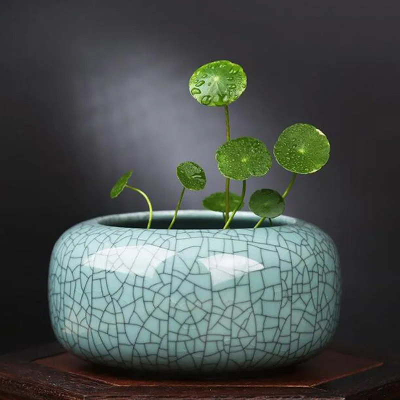 Geyao Copper Money Grass Green Radish Hydroponic Vase Flowerpot Desktop Bonsai Vase Garden Planter Home Decor
Geyao Copper Money Grass Green Radish Hydroponic Vase Flowerpot Desktop Bonsai Vase Garden Planter Home Decor