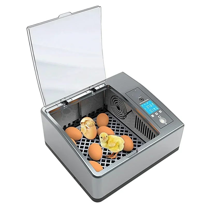 Hot Salestop Seller Fully Automatic Multifunctional Smart Home Teaching Experiment Children Small 9-16 Egg Incubators
Hot Salestop Seller Fully Automatic Multifunctional Smart Home Teaching Experiment Children Small 9-16 Egg Incubators
