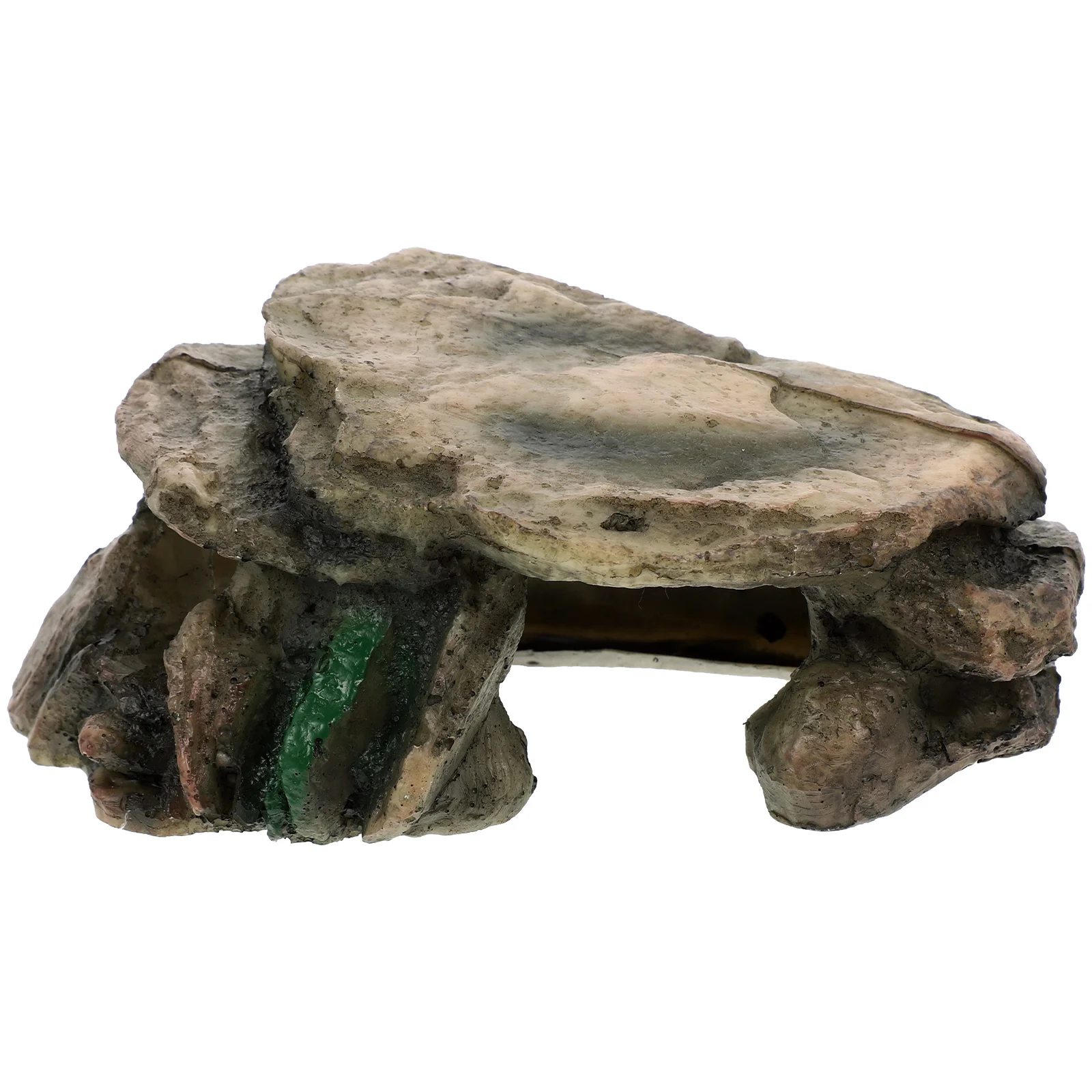 Gecko Turtle Terrace Baby Frogs Guinea Pig Resin Accessories Fish Tank Accessory
Gecko Turtle Terrace Baby Frogs Guinea Pig Resin Accessories Fish Tank Accessory