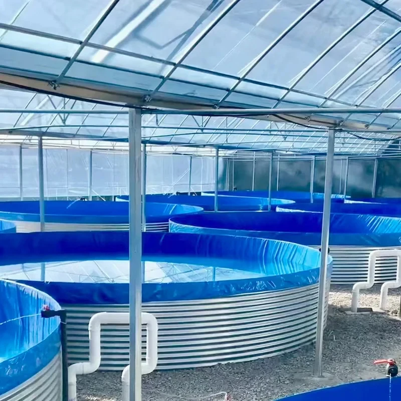 Outdoor Aquaculture Filtered Water Tank Reservoir
Outdoor Aquaculture Filtered Water Tank Reservoir