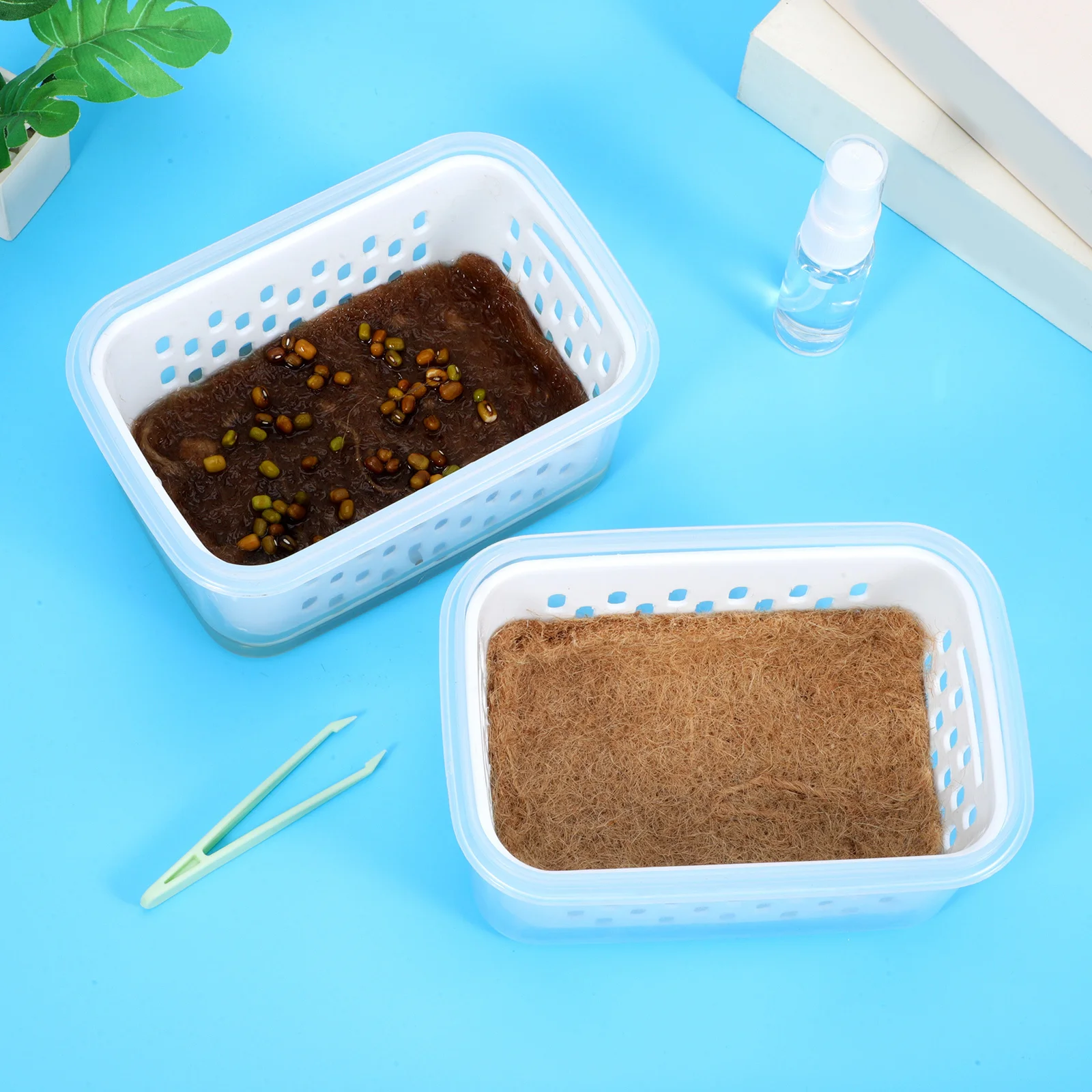 2Pcs Transparent Seedling Pots Germination Trays Drainage Holes Soilless Sprouting Nursery Pots Clear Plant Starter Trays
2Pcs Transparent Seedling Pots Germination Trays Drainage Holes Soilless Sprouting Nursery Pots Clear Plant Starter Trays