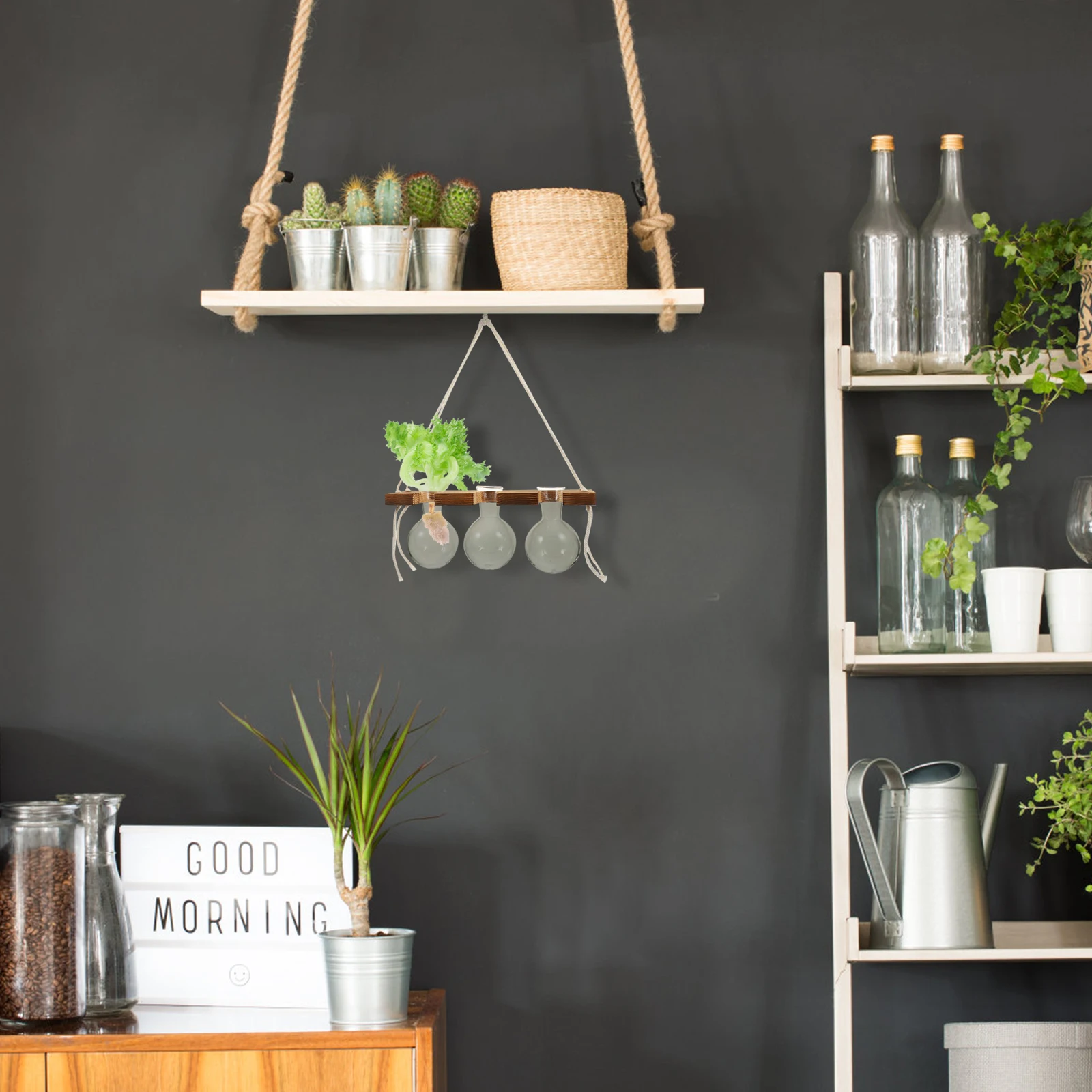 Hydroponic Vase Glass Flower Bottle Plant Pots Indoor Terrarium Hanging WallDecoration Home Office Garden Wedding Wooden Planter
Hydroponic Vase Glass Flower Bottle Plant Pots Indoor Terrarium Hanging WallDecoration Home Office Garden Wedding Wooden Planter