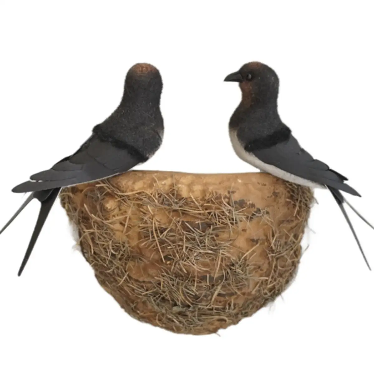 Real Bird's Nest Decoration Beautification Block Bird's Nest Artificial Bird's Nest Wall Decoration Home Swallows
Real Bird's Nest Decoration Beautification Block Bird's Nest Artificial Bird's Nest Wall Decoration Home Swallows