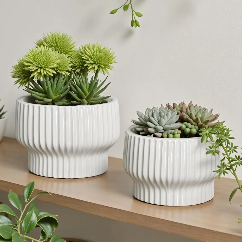 Современные керамические горшки для растений, набор из 3 домашних цветочных горшков 9 + 8 + 6 дюймов с дренажными отверстиями для декора домашнего офиса
Современные керамические горшки для растений, набор из 3 домашних цветочных горшков 9 + 8 + 6 дюймов с дренажными отверстиями для декора домашнего офиса