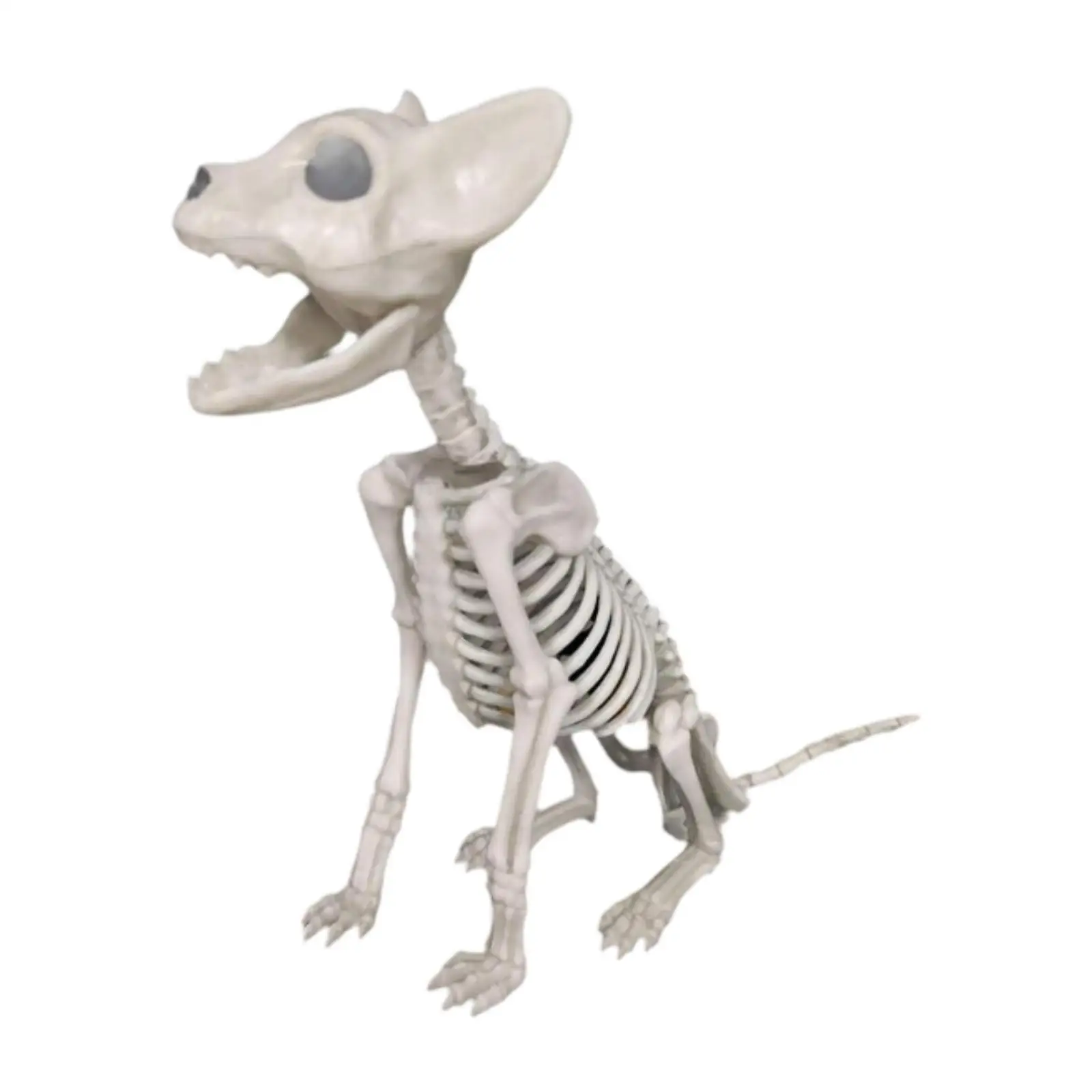 Skeleton Cat Halloween Decoration Plastic Material for Courtyard Decor 
Skeleton Cat Halloween Decoration Plastic Material for Courtyard Decor
