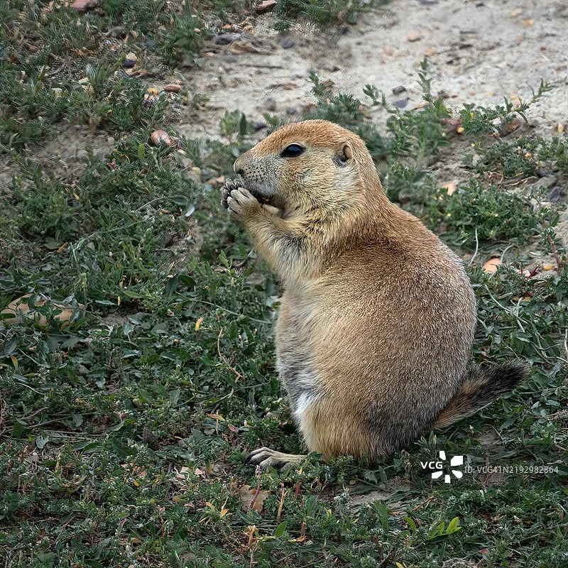 Flywoo GOKU GN405 Nano HD 35A AIO Stack V3, Integrated TXCO ELRS 2.4G Receiver Plug&Play for DJI O4 O4 Pro Micro FPV Drone
Flywoo GOKU GN405 Nano HD 35A AIO Stack V3, Integrated TXCO ELRS 2.4G Receiver Plug&Play for DJI O4 O4 Pro Micro FPV Drone
