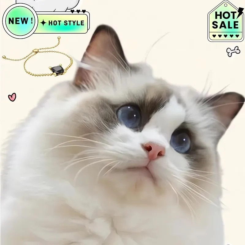 Cat Accessories 2025 Best-selling Jewelry Niche Bracelet, A High-quality Gift Suitable for People and Girls To Wear
Cat Accessories 2025 Best-selling Jewelry Niche Bracelet, A High-quality Gift Suitable for People and Girls To Wear