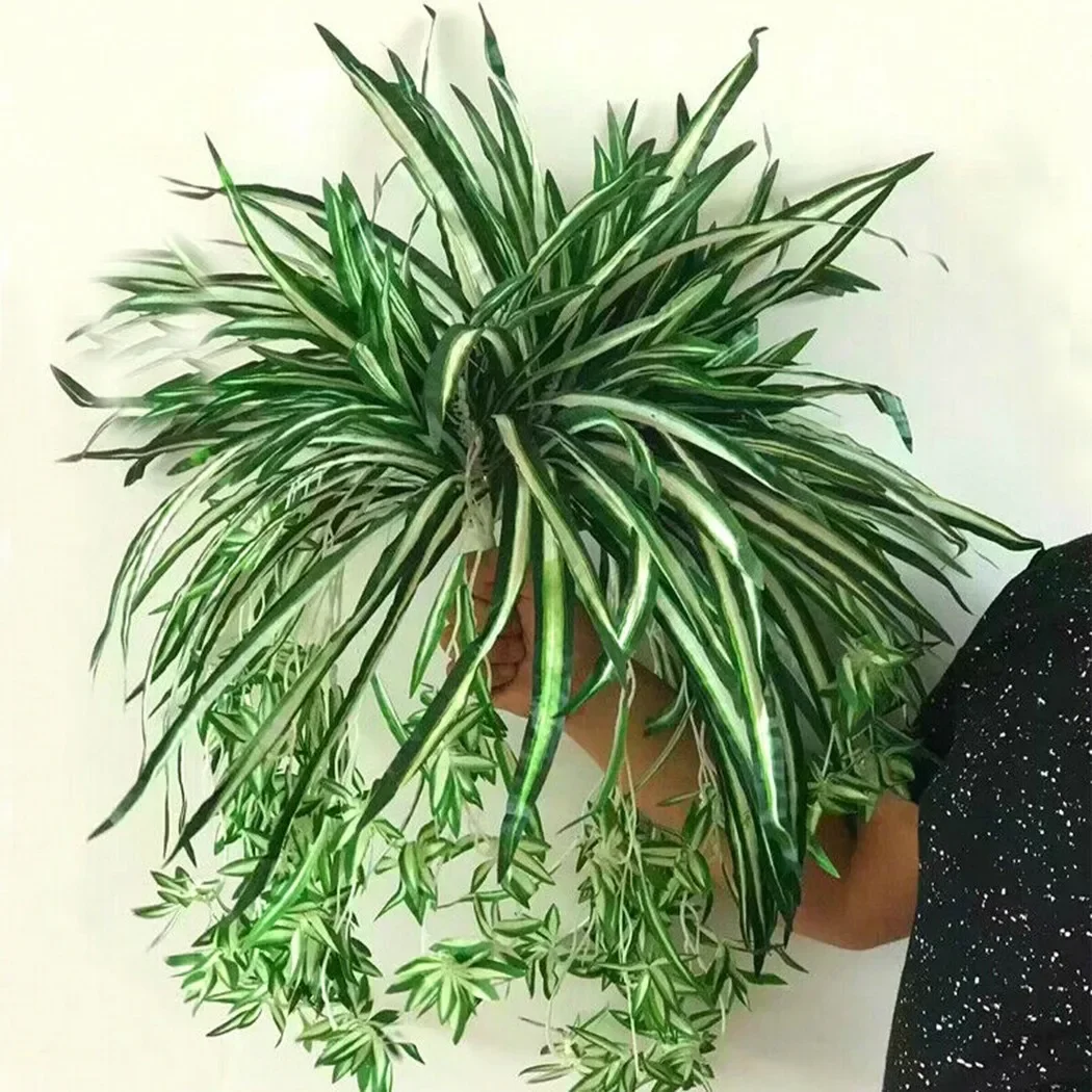 62cm Artificial Plants Wall Hanging Chlorophytum Potted Green Plants PVC Fake Plants Simulation Flowers Living Room Decoration
62cm Artificial Plants Wall Hanging Chlorophytum Potted Green Plants PVC Fake Plants Simulation Flowers Living Room Decoration