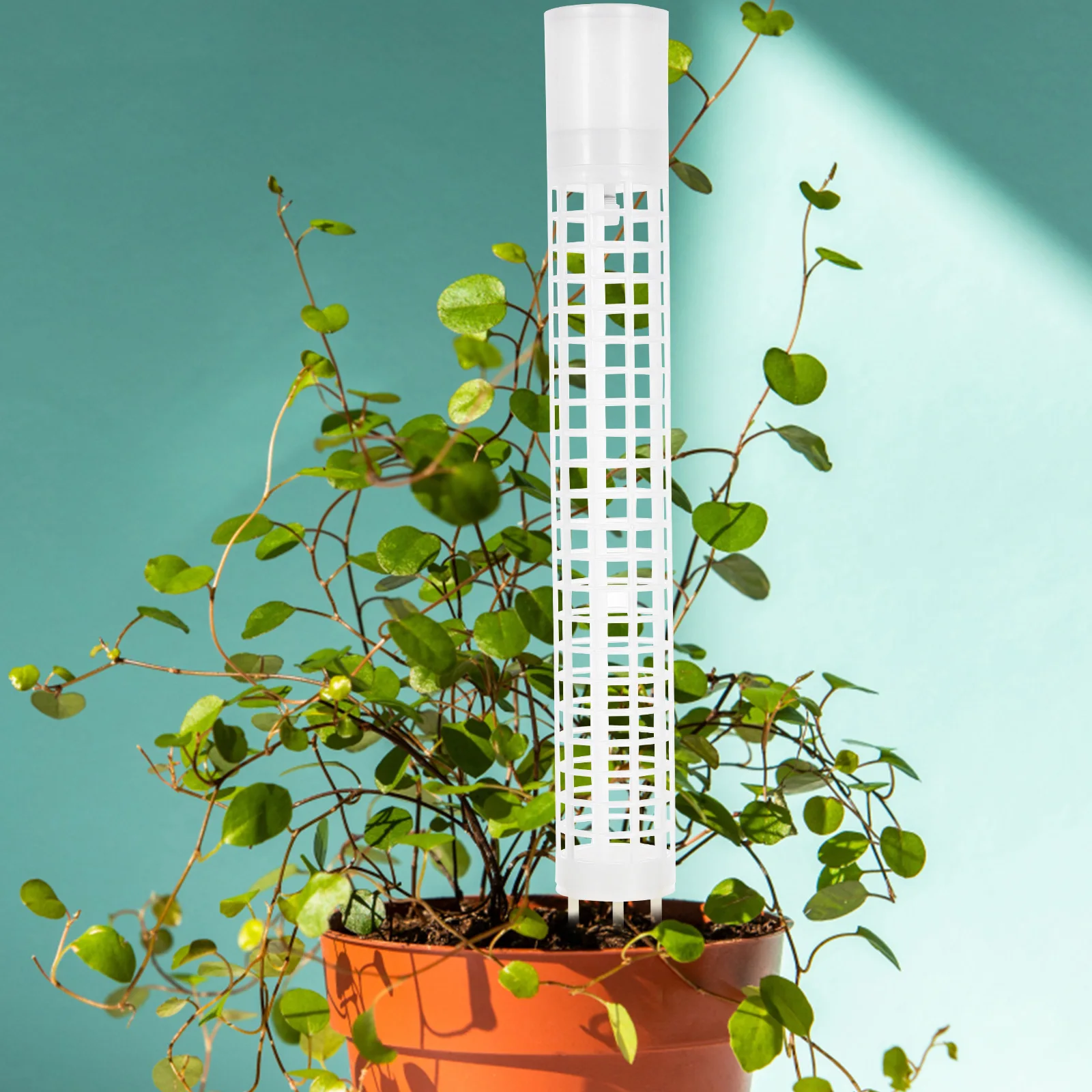 Self-Watering Moss Pole For Indoor Plants Stackable Durable Plastic Climbing Trellis Humidity Boosting Modular Plant Support
Self-Watering Moss Pole For Indoor Plants Stackable Durable Plastic Climbing Trellis Humidity Boosting Modular Plant Support
