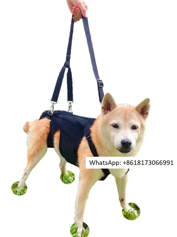 Pet dog spine health suit, lightweight and breathable, close fitting waist protection, correction of lumbar intervertebral discs
Pet dog spine health suit, lightweight and breathable, close fitting waist protection, correction of lumbar intervertebral discs