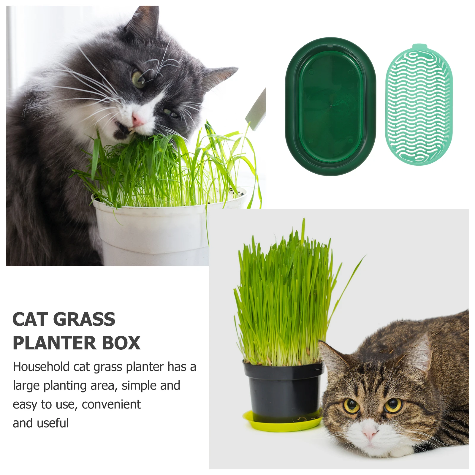 Plastic Cat Grass Planter Large Hydroponic Box Home Office Durable Easy Simple Design Practical Pet Cultivation Trays Gardening
Plastic Cat Grass Planter Large Hydroponic Box Home Office Durable Easy Simple Design Practical Pet Cultivation Trays Gardening