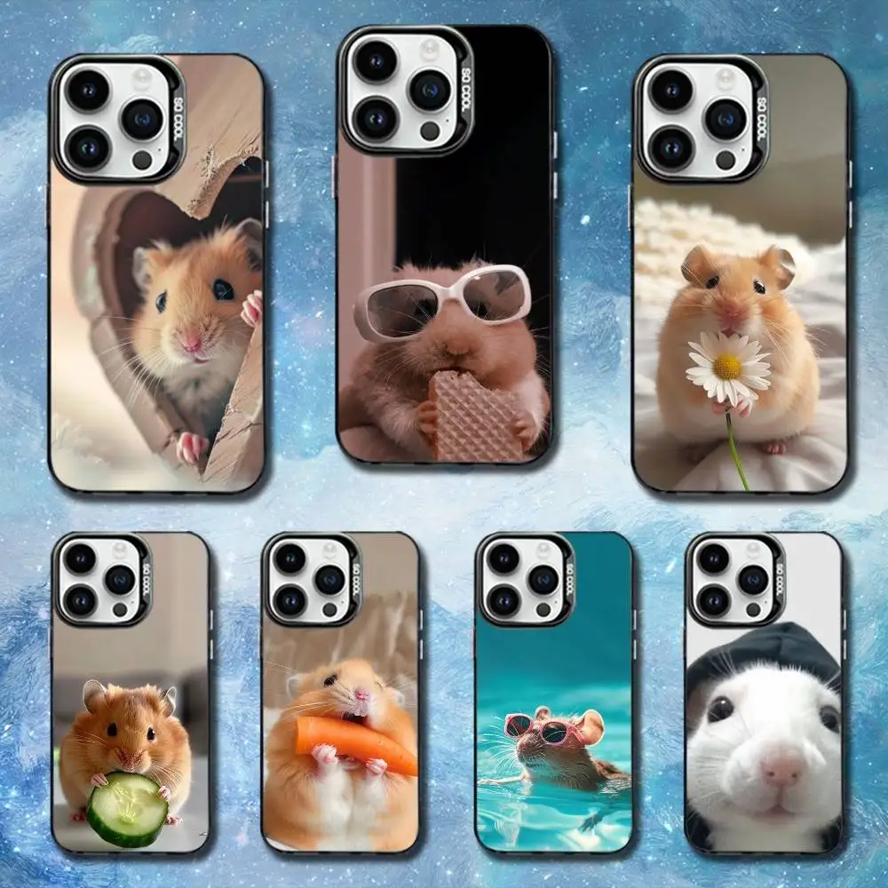 Cute Hamster Animal Phone Case For iPhone 11,12,13,16,14,15,Mini,Pro,XS,MAX Black Matte Shockproof Cover
Cute Hamster Animal Phone Case For iPhone 11,12,13,16,14,15,Mini,Pro,XS,MAX Black Matte Shockproof Cover