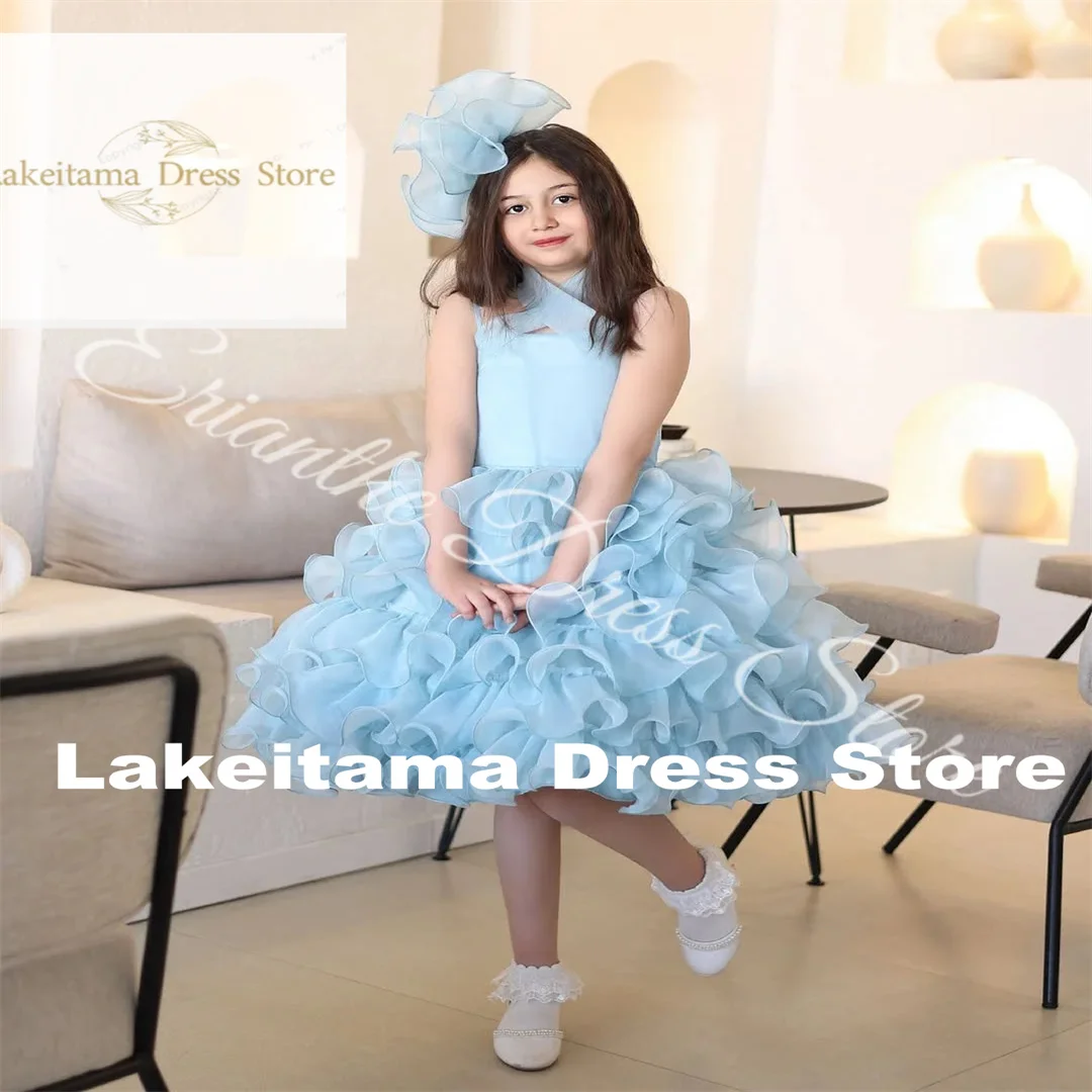 Customization Flower Girl Dress For Wedding Sky Blue Layered Tulle Puffy Sleeveless Kids Birthday Party First Communion Ball Gow
Customization Flower Girl Dress For Wedding Sky Blue Layered Tulle Puffy Sleeveless Kids Birthday Party First Communion Ball Gow