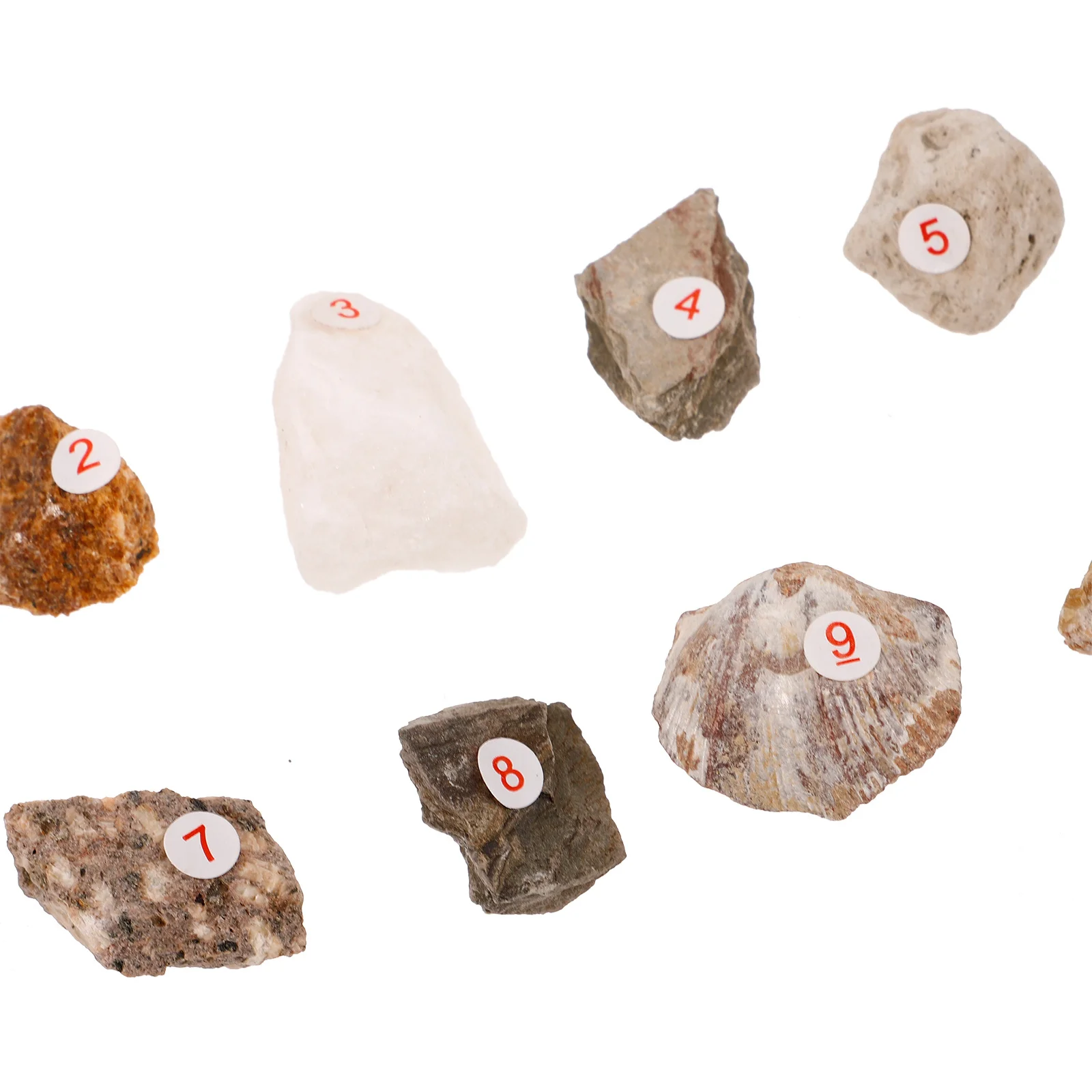 10Pcs Rock Specimen Collection Natural Mineral Stones Irregular Durable Desktop Decor Ideal for Home Office Display
10Pcs Rock Specimen Collection Natural Mineral Stones Irregular Durable Desktop Decor Ideal for Home Office Display