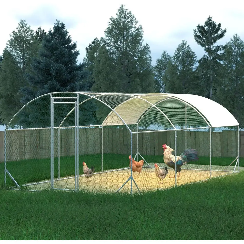 2025 Enhanced 10ft x 20ft x 6.5ft Spacious Metal Chicken House for 20 Birds with Roof and Mesh, Dome-Style Indoor/Outdoor Yard E
2025 Enhanced 10ft x 20ft x 6.5ft Spacious Metal Chicken House for 20 Birds with Roof and Mesh, Dome-Style Indoor/Outdoor Yard E