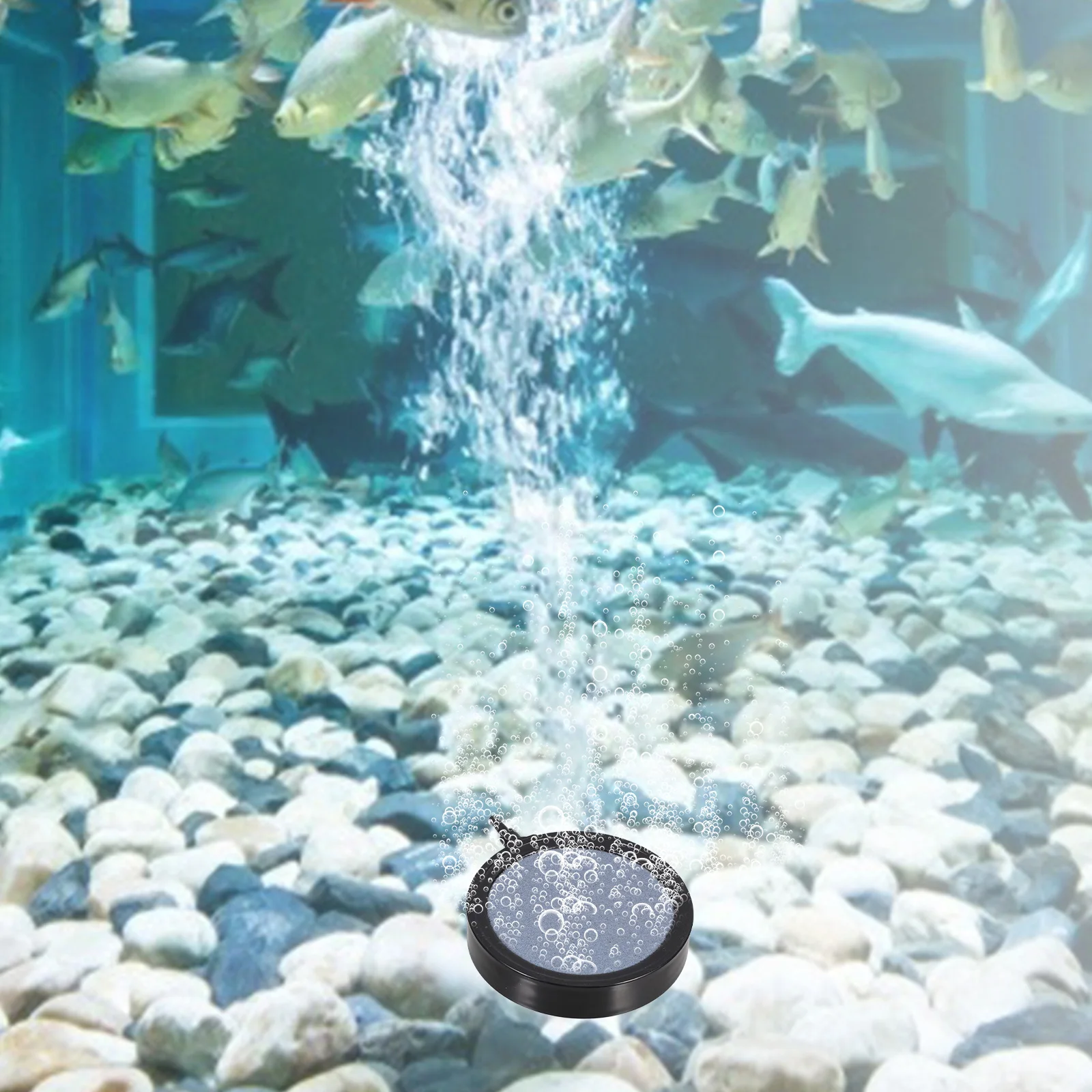 Aquarium Air Stones for Fish Tanks Oxygenation and Water Circulation Small Air Bubbler for Nutrient Tank Filtration Purification
Aquarium Air Stones for Fish Tanks Oxygenation and Water Circulation Small Air Bubbler for Nutrient Tank Filtration Purification