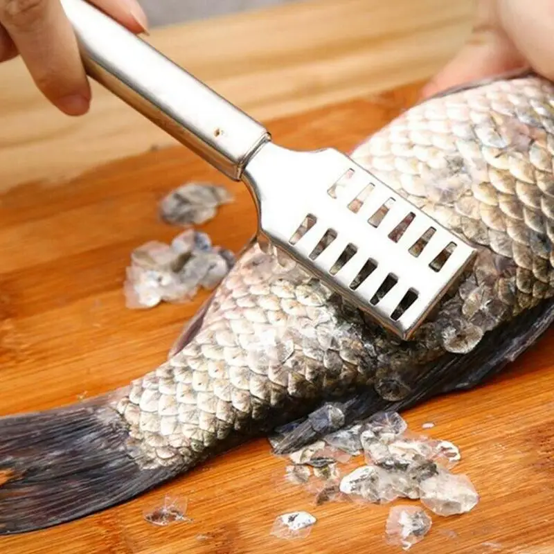 Fish Scale Remover Stainless Steel Fish Scale Knife Scale Scraper Sawtooth Scraping Cut Scrape Dig Maw Knife
Fish Scale Remover Stainless Steel Fish Scale Knife Scale Scraper Sawtooth Scraping Cut Scrape Dig Maw Knife