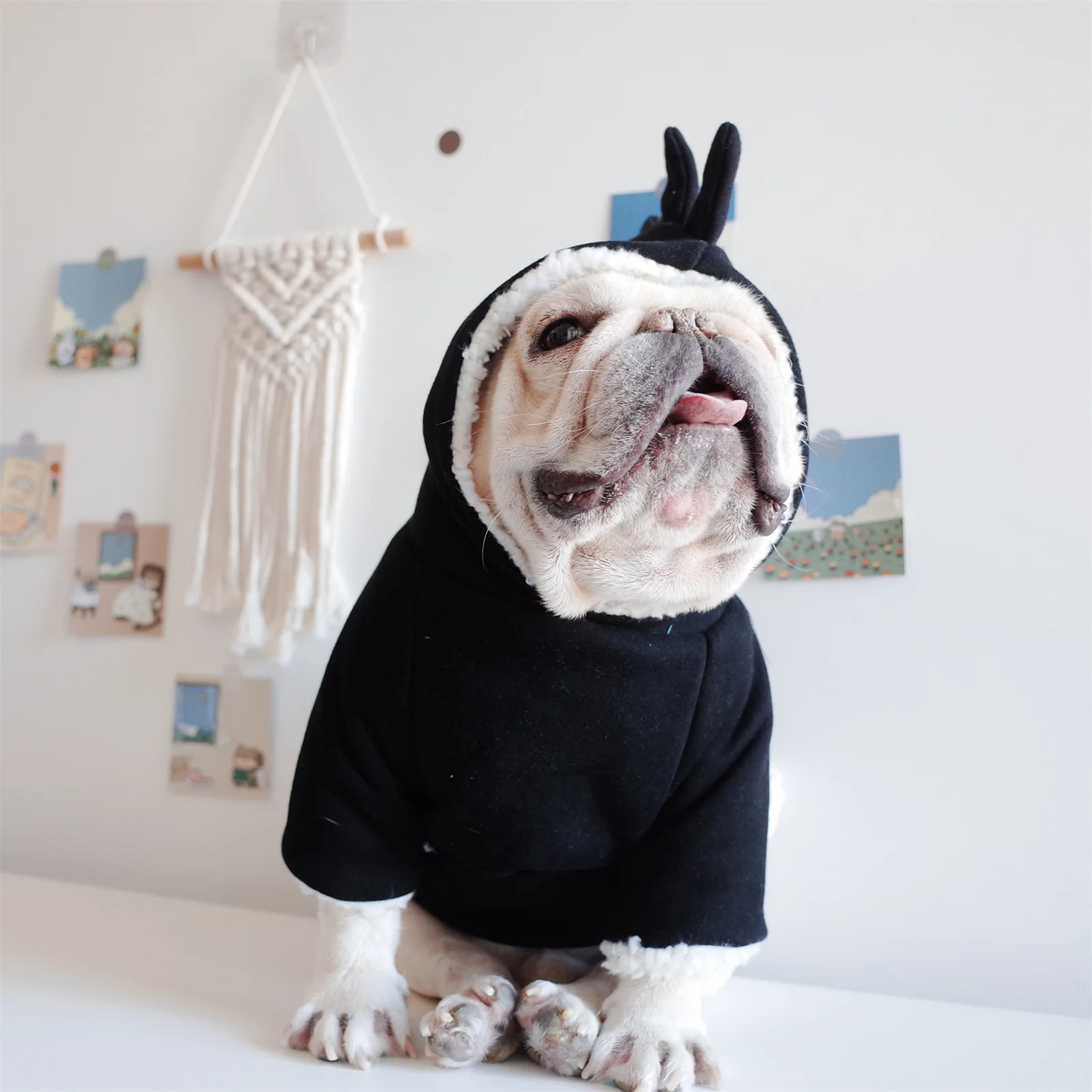Dinosaur Hoodie Dog Warm Jacket Christmas Halloween Costume Pet Clothes For Puppy Kitten Small Medium Cats
Dinosaur Hoodie Dog Warm Jacket Christmas Halloween Costume Pet Clothes For Puppy Kitten Small Medium Cats