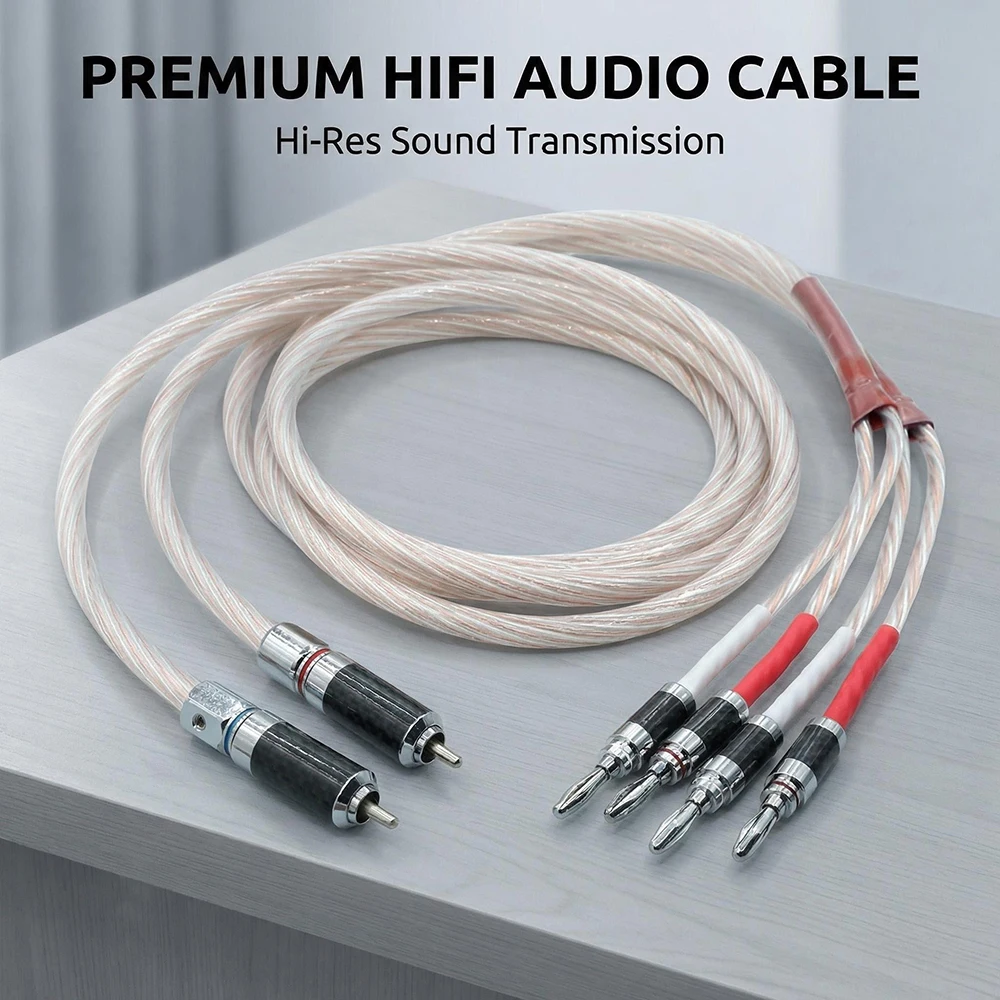 Aouyade RCA to 2 Banana Plug speaker cable speaker cable HIFI amplifier audio connection cable
Aouyade RCA to 2 Banana Plug speaker cable speaker cable HIFI amplifier audio connection cable