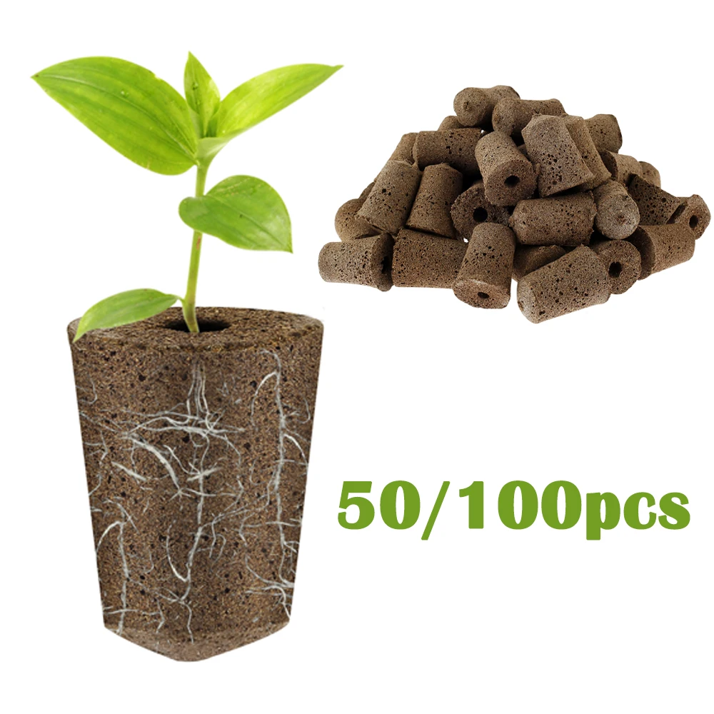 50/100Pcs Seed Growth Sponges Hydroponics Starter Replacement Root Growth Sponges Water Absorbent Garden Planting Accessories
50/100Pcs Seed Growth Sponges Hydroponics Starter Replacement Root Growth Sponges Water Absorbent Garden Planting Accessories