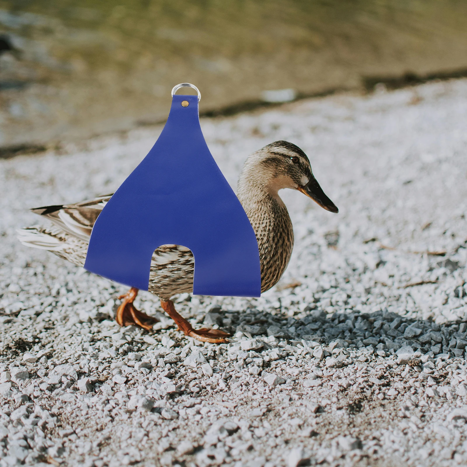 Chicken Weighing Bag Pet Holder Soft Material Portable Handle Easy Clean Poultry Sling Chickens Ducks Rabbits Cats Comfortable
Chicken Weighing Bag Pet Holder Soft Material Portable Handle Easy Clean Poultry Sling Chickens Ducks Rabbits Cats Comfortable