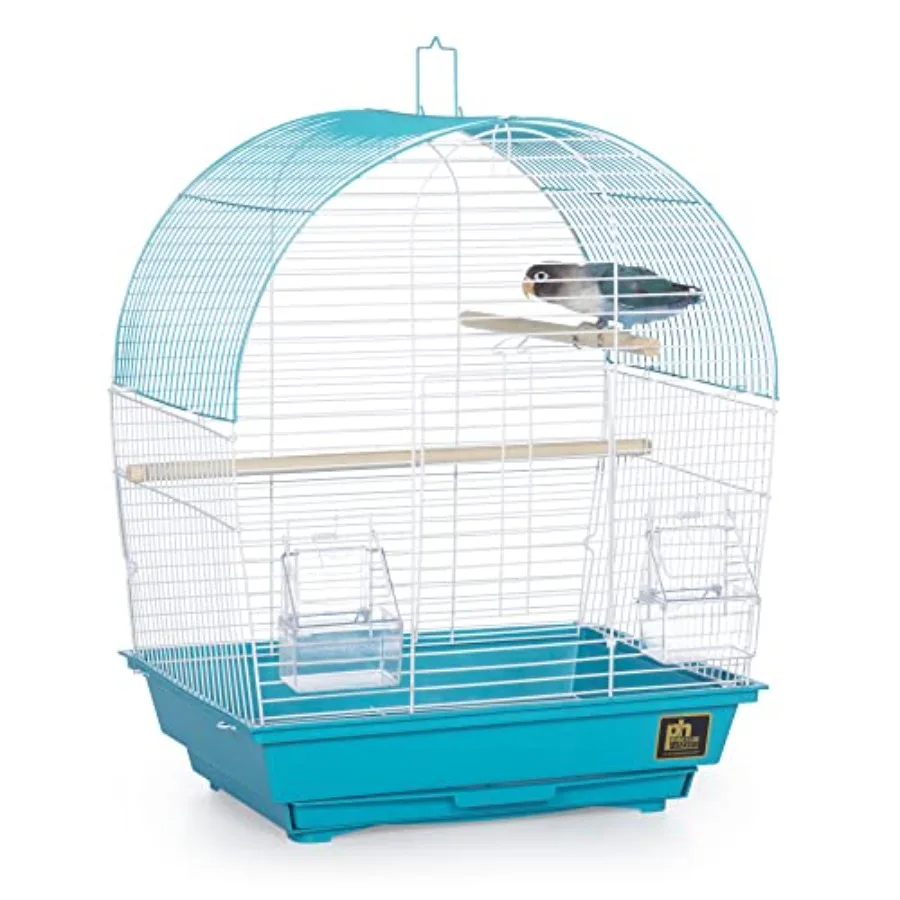 South Beach Dome Top Bird Cage for Parakeets Finches Budgies Canaries: Small Portable Indoor/Travel Cage in White Teal with Fun
South Beach Dome Top Bird Cage for Parakeets Finches Budgies Canaries: Small Portable Indoor/Travel Cage in White Teal with Fun