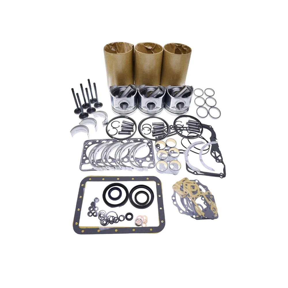 New In-Frame Overhaul Rebuild Kit for Deutz F3L1011 Engine
New In-Frame Overhaul Rebuild Kit for Deutz F3L1011 Engine