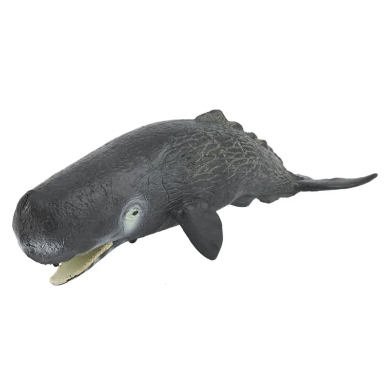 Kid Children Educational Sperm Whale Toy Simulation Miniature Animal Model Home Decor
Kid Children Educational Sperm Whale Toy Simulation Miniature Animal Model Home Decor