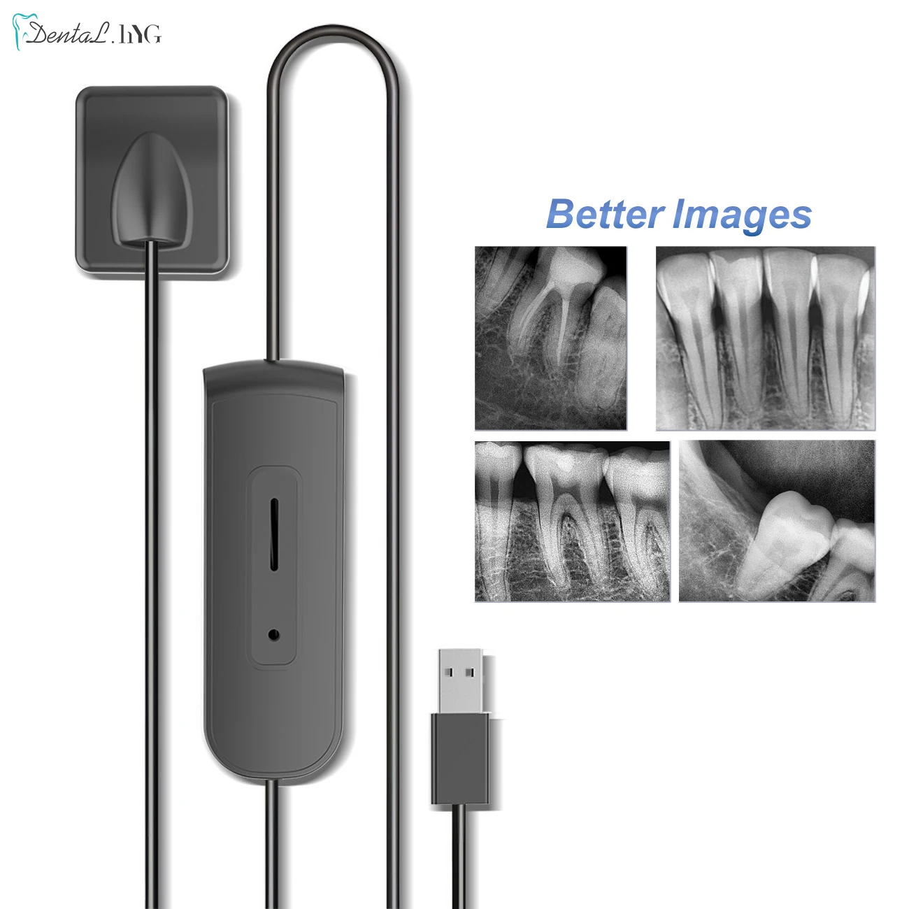High Quality Dental Sensor With Holder Faster Durable USB Dental X Ray Sensor Intra Oral Camera Digital RVG Sensor
High Quality Dental Sensor With Holder Faster Durable USB Dental X Ray Sensor Intra Oral Camera Digital RVG Sensor