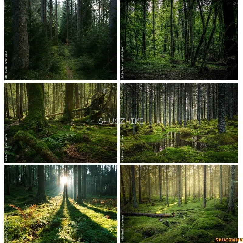 Mystery Tropical Coniferous Forest Moss Fallen Trees Photography Backdrops Prop Ancient Nature Landscape Theme Background ZL-12
Mystery Tropical Coniferous Forest Moss Fallen Trees Photography Backdrops Prop Ancient Nature Landscape Theme Background ZL-12