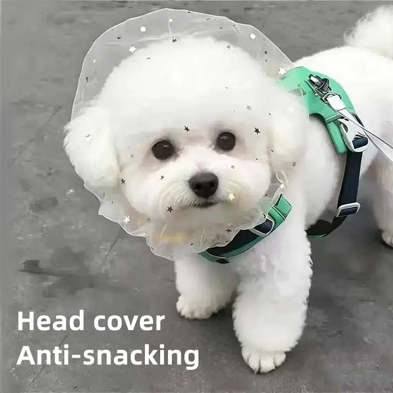 Dog anti-ingestion head cover, breathable soft lightweight mesh, for small and medium dogs, outdoor dog walking, pet supplies
Dog anti-ingestion head cover, breathable soft lightweight mesh, for small and medium dogs, outdoor dog walking, pet supplies