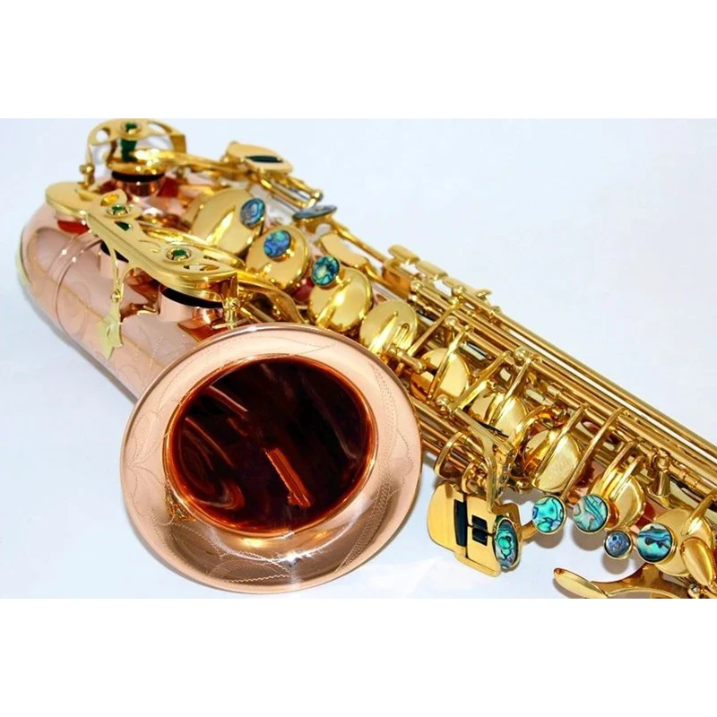 High end drop E tune professional Alto saxophone European craft phosphor bronze gold-plated tube body two-color SAX instrument
High end drop E tune professional Alto saxophone European craft phosphor bronze gold-plated tube body two-color SAX instrument
