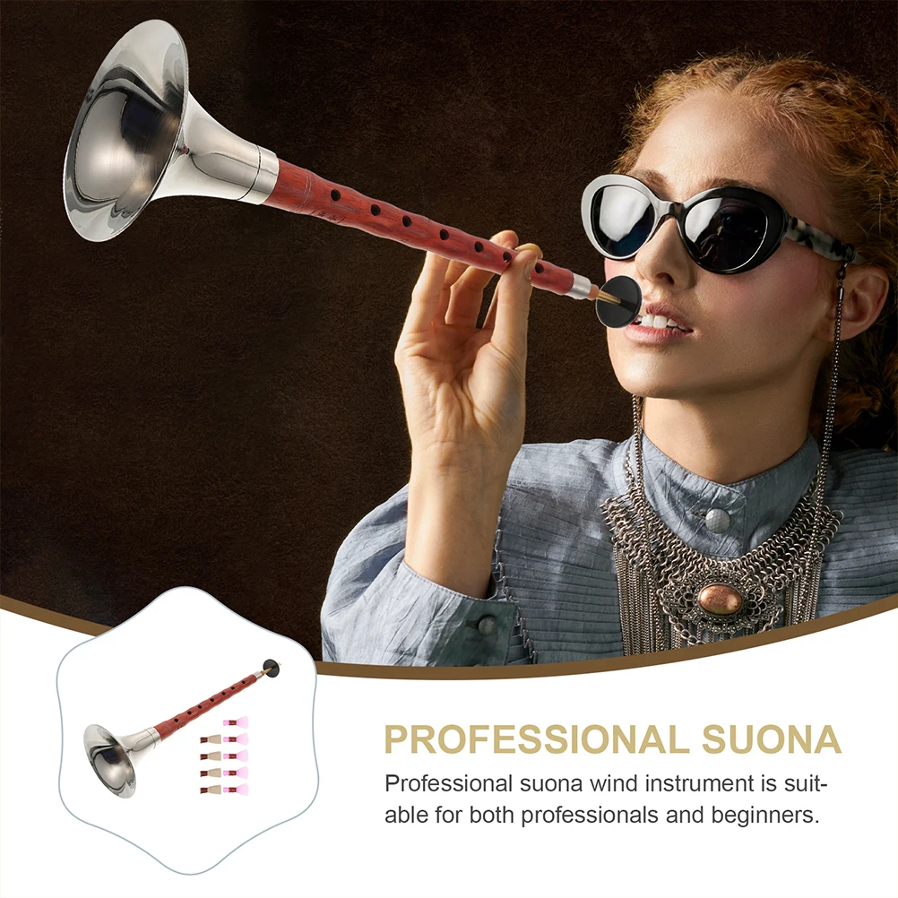 Rosewood Suona Musical Instrument Tone Adjustable Plastic Reed Random Color Wind Instruments Chinese Music
Rosewood Suona Musical Instrument Tone Adjustable Plastic Reed Random Color Wind Instruments Chinese Music