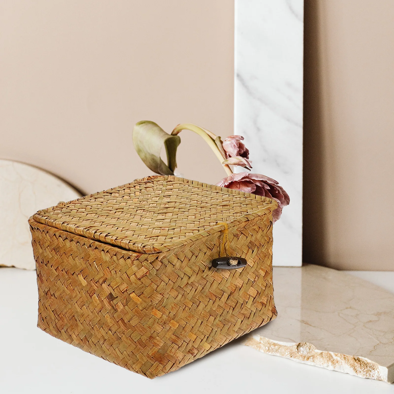 1.2L Large Capacity Storage Box Set Multifunctional Organizer Woven Sundry Box Desktop Toy Case Portable Sundries for Snack
1.2L Large Capacity Storage Box Set Multifunctional Organizer Woven Sundry Box Desktop Toy Case Portable Sundries for Snack