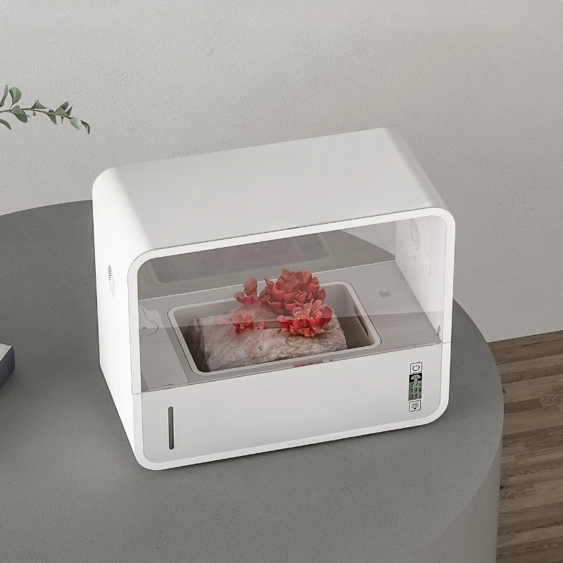 Умная коробка для выращивания грибов, беспочвенная прозрачная настольная коробка Monotub для домашних растений, палатка для посадки грибов
Умная коробка для выращивания грибов, беспочвенная прозрачная настольная коробка Monotub для домашних растений, палатка для посадки грибов