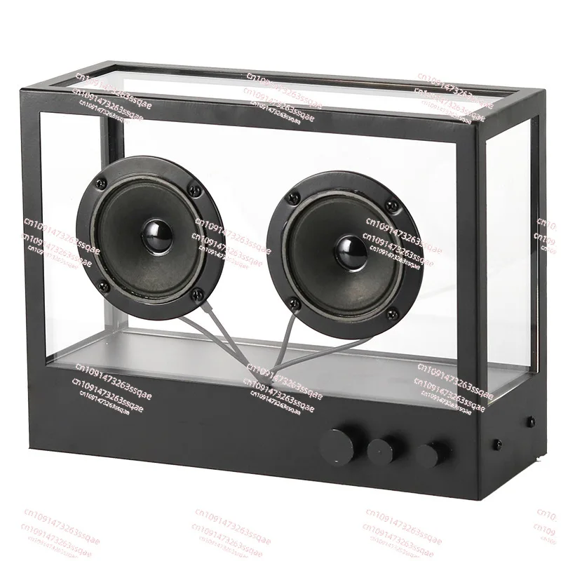Modern Model Home Decor Creative Transparent Acrylic Subwoofer Speaker Desktop Creative Ornament
Modern Model Home Decor Creative Transparent Acrylic Subwoofer Speaker Desktop Creative Ornament