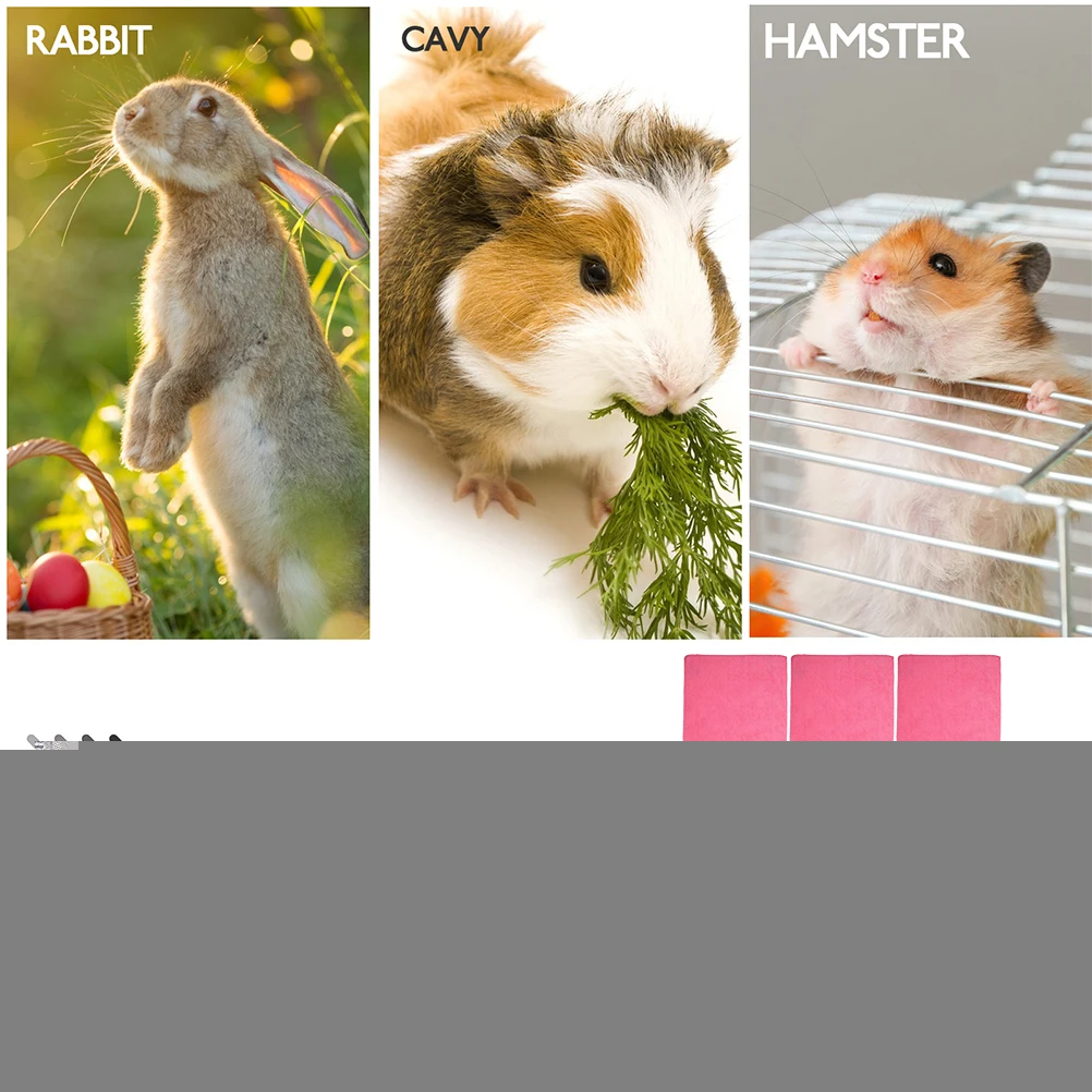 10 Pcs Pet Blanket Guinea Pig Bedding Mats 30x60cm Pink Grey Washable Cage Liners Fiber Small Animal Supplies
10 Pcs Pet Blanket Guinea Pig Bedding Mats 30x60cm Pink Grey Washable Cage Liners Fiber Small Animal Supplies