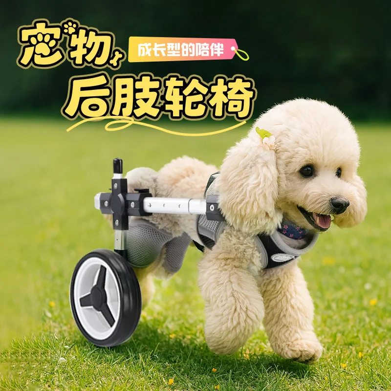 Quick Resizing Dog Wheelchair Pet Wheelchair Four Limbs Dog Disability Training Wheelchair Rehabilitation Scooter Teddy
Quick Resizing Dog Wheelchair Pet Wheelchair Four Limbs Dog Disability Training Wheelchair Rehabilitation Scooter Teddy