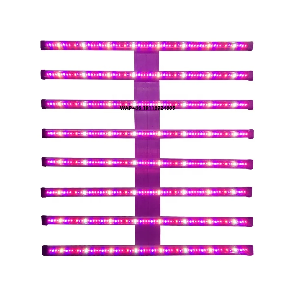 730nm Waterproof 4/6/8/10 bar Full Spectrum Led Grow Light Hydroponic Commercial Uv Ir bar
730nm Waterproof 4/6/8/10 bar Full Spectrum Led Grow Light Hydroponic Commercial Uv Ir bar